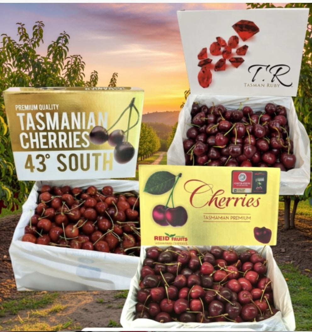 應該買43度、TR 或是金袋鼠車厘子？（香港常見塔斯曼尼亞三大品牌）