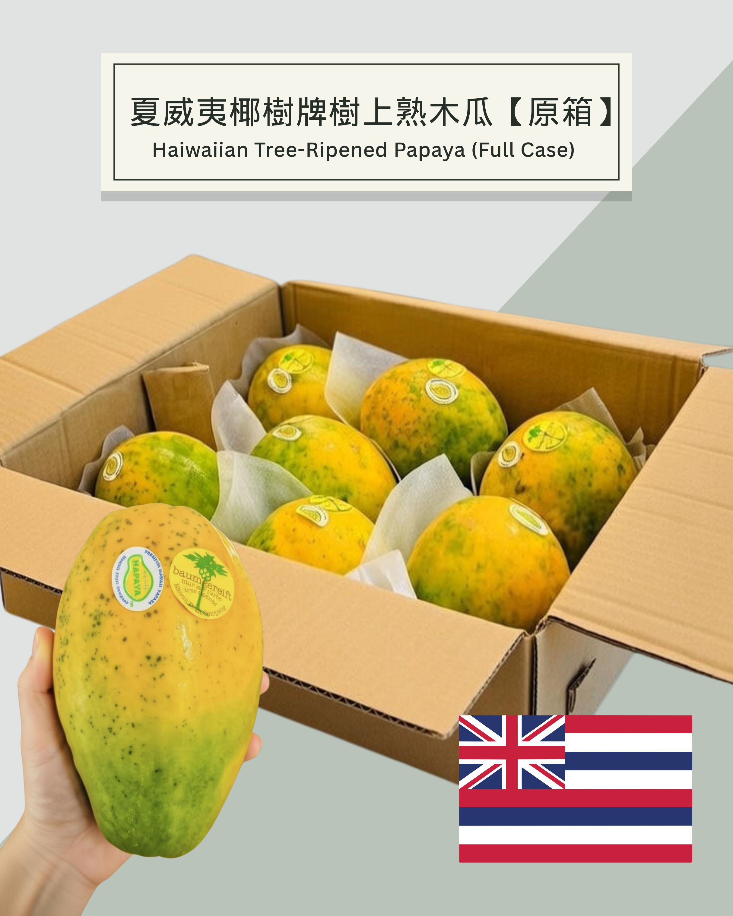 木瓜 | 夏威夷木瓜 | 樹上熟木瓜 |  木瓜原箱 | 木瓜一箱 | 木瓜箱 | papaya | hawaii papaya | apple | 送禮果籃 | 過大禮果籃 |公司水果訂購 | 企業禮品訂製 | 至靚蔬果 | 送禮花藝 |  您的送禮首選