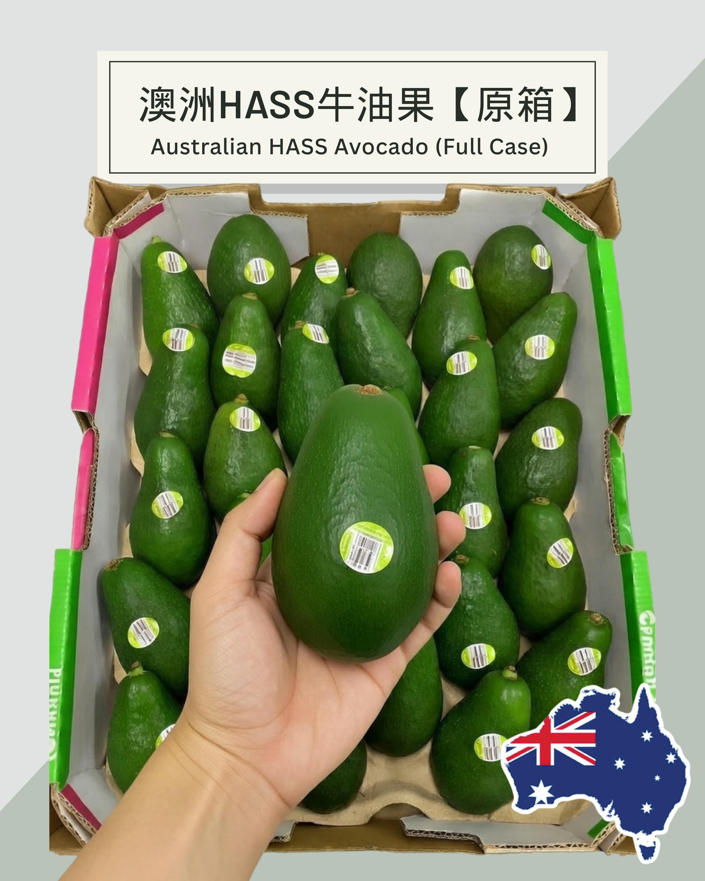 牛油果 | 澳洲牛油果 |  牛油果原箱 | 牛油果一箱 | 牛油果箱 | avocado case | avocado box | 送禮果籃 | 過大禮果籃 |公司水果訂購 | 企業禮品訂製 | 至靚蔬果 | 送禮花藝 |  您的送禮首選